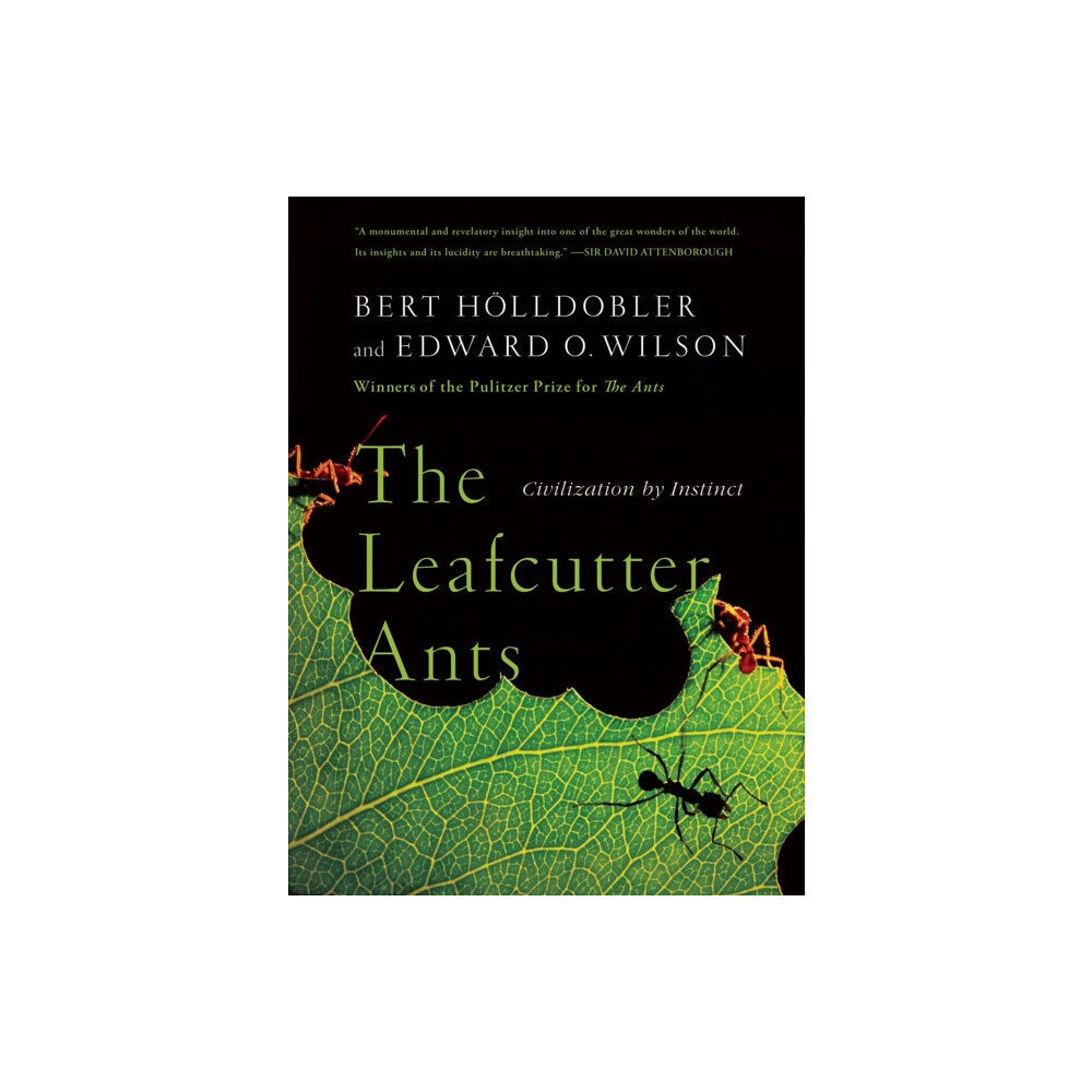 WW Norton & Co The Leafcutter Ants (häftad, eng)