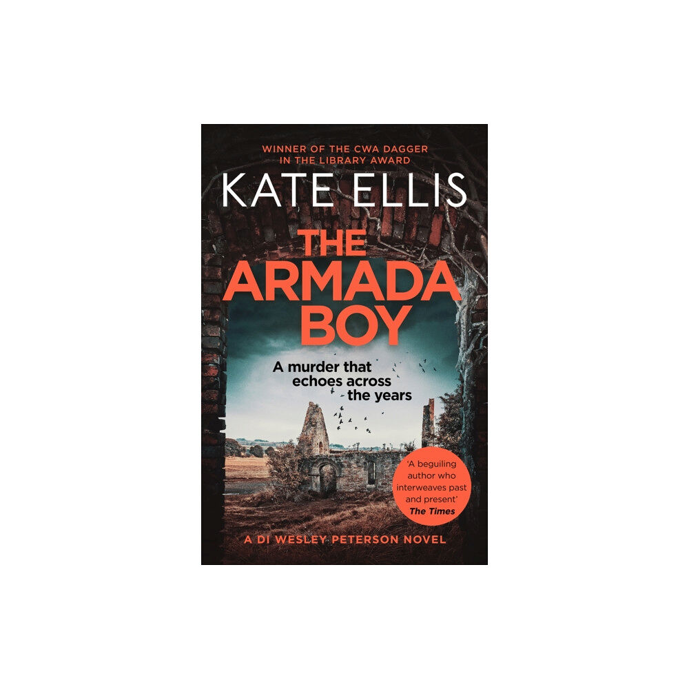 Little, Brown Book Group The Armada Boy (häftad, eng)
