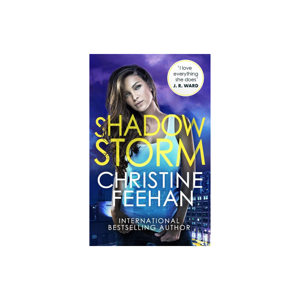 Little, Brown Book Group Shadow Storm (häftad, eng)