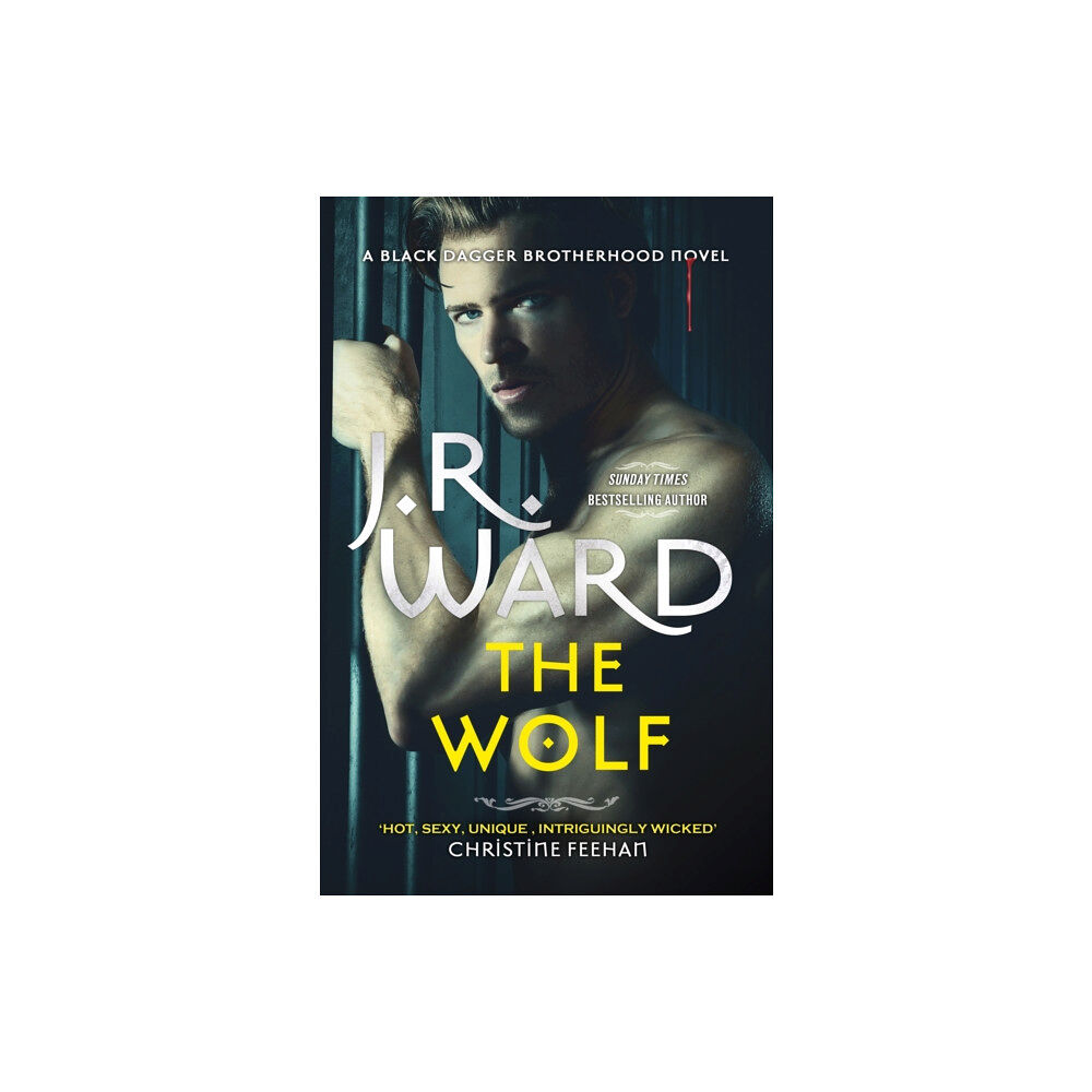 Little, Brown Book Group The Wolf (häftad, eng)