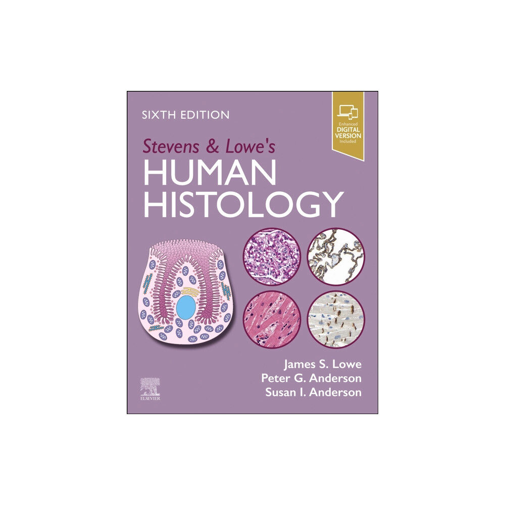 Elsevier Health Sciences Stevens & Lowe's Human Histology (häftad, eng)