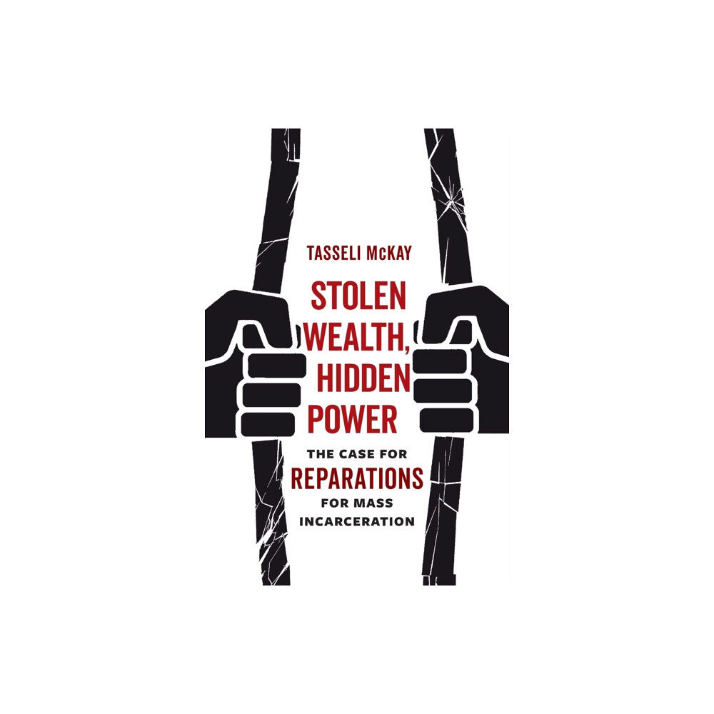 University of california press Stolen Wealth, Hidden Power (häftad, eng)