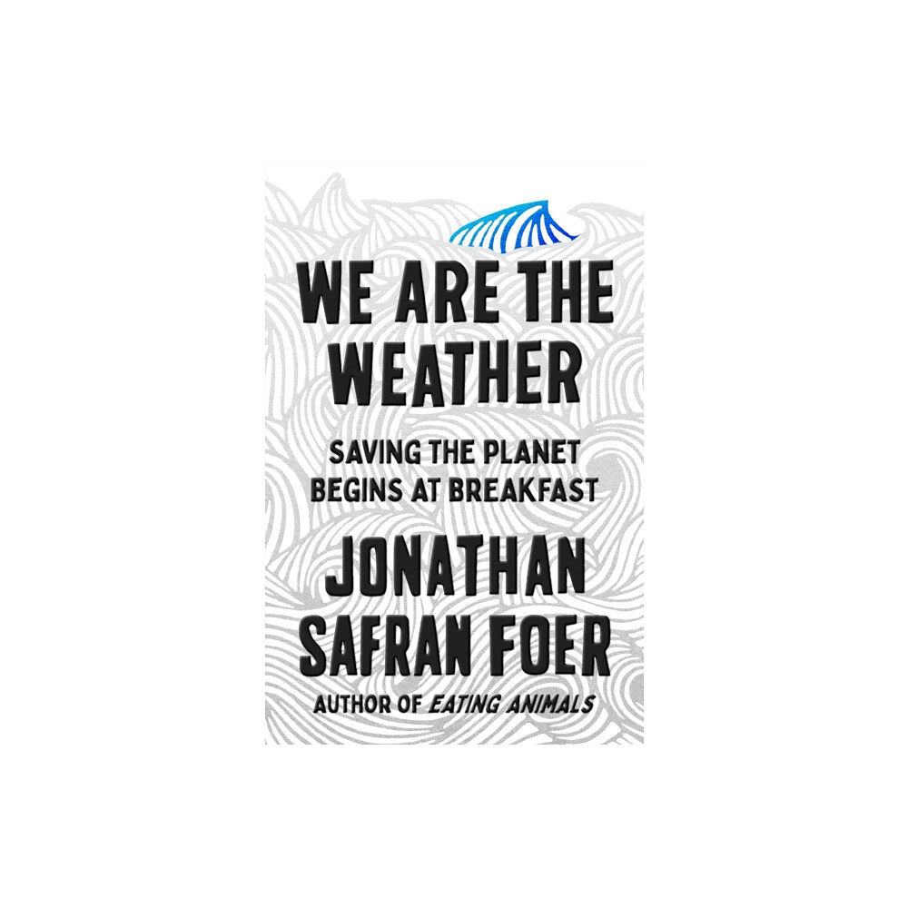 Farrar, Straus and Giroux We Are the Weather (häftad, eng)