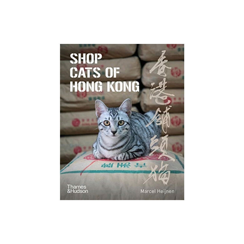 Thames & Hudson Ltd Shop Cats of Hong Kong (häftad, eng)