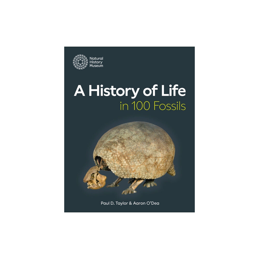 The Natural History Museum A History of Life in 100 Fossils (häftad, eng)