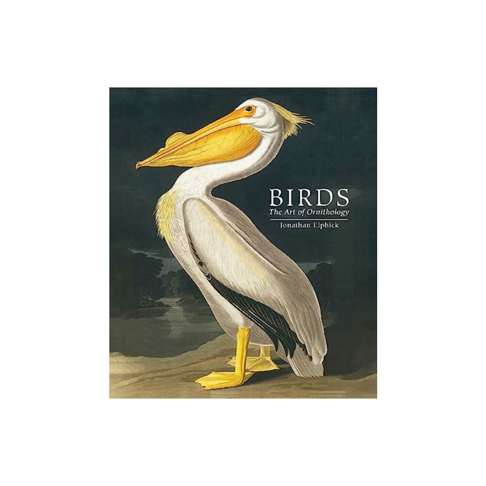 The Natural History Museum Birds (inbunden, eng)