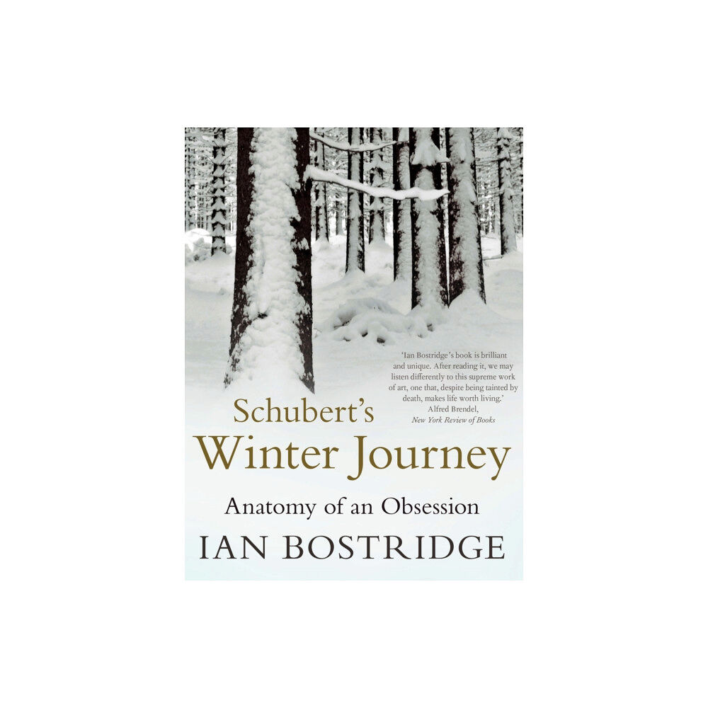 Faber & Faber Schubert's Winter Journey (häftad, eng)