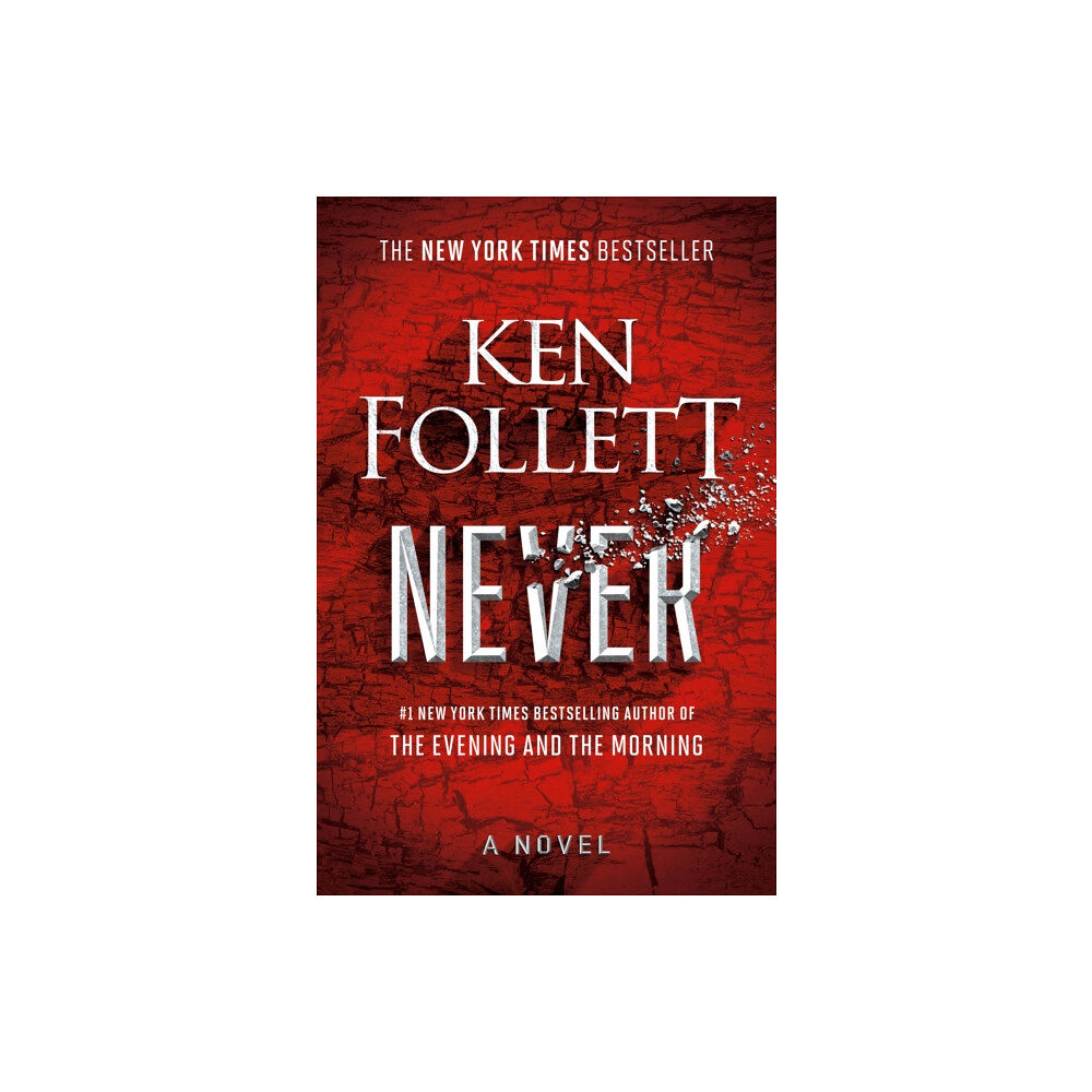 Penguin Publishing Group Never (inbunden, eng)