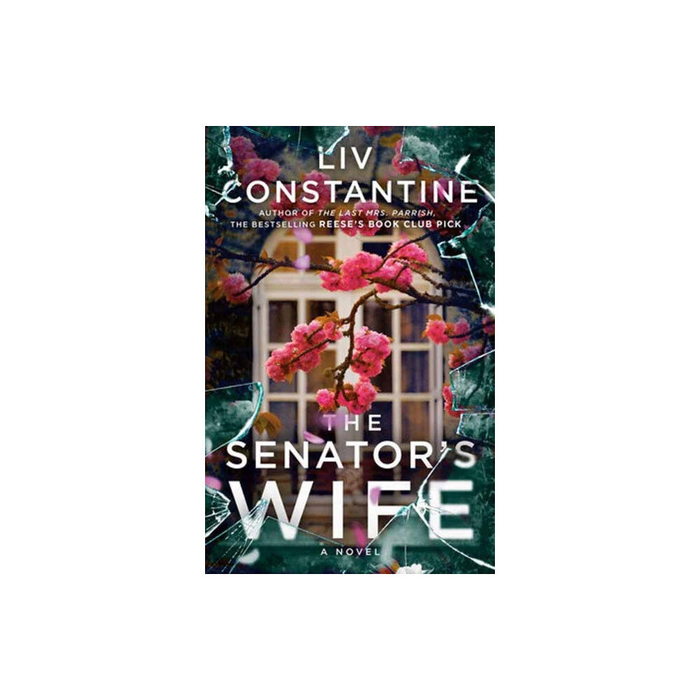 Random House USA Inc The Senator's Wife (häftad, eng)