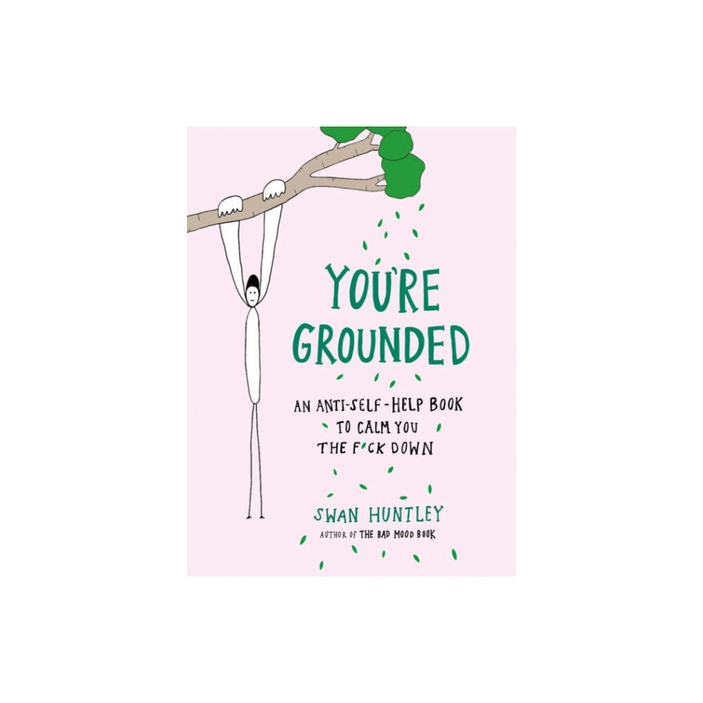 Penguin Putnam Inc You'Re Grounded (häftad, eng)