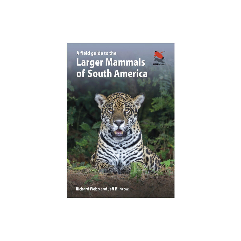 Princeton University Press A Field Guide to the Larger Mammals of South America (häftad, eng)