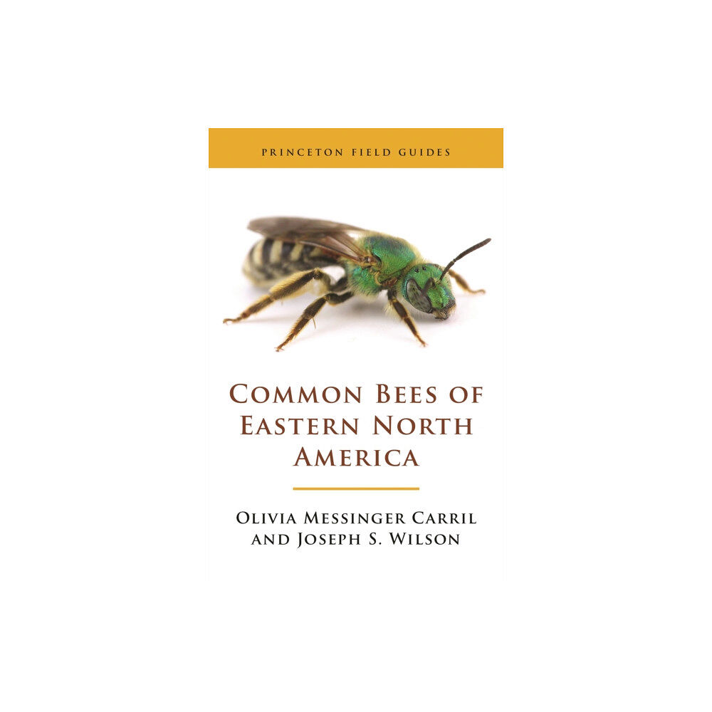 Princeton University Press Common Bees of Eastern North America (häftad, eng)