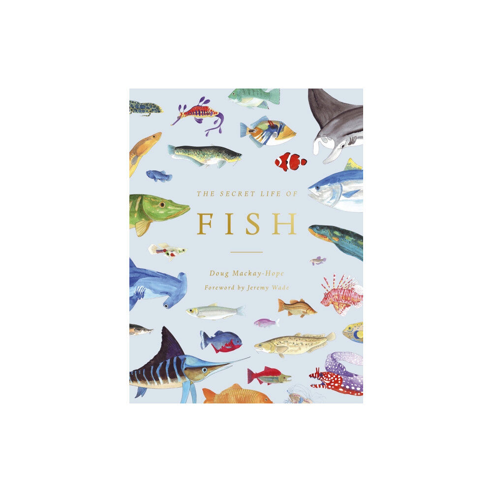 Quarto Publishing Plc The Secret Life of Fish (inbunden, eng)