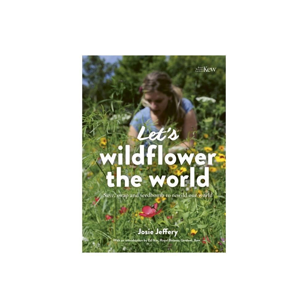 Quarto Publishing Plc Let's Wildflower the World (häftad, eng)