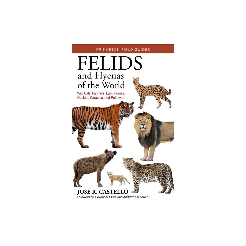 Princeton University Press Felids and Hyenas of the World (häftad, eng)