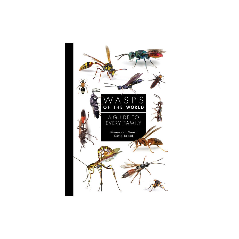 Princeton University Press Wasps of the World (inbunden, eng)