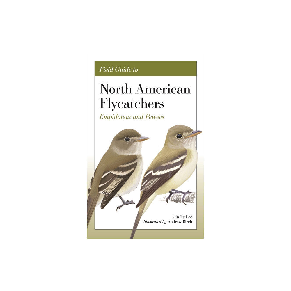 Princeton University Press Field Guide to North American Flycatchers (häftad, eng)