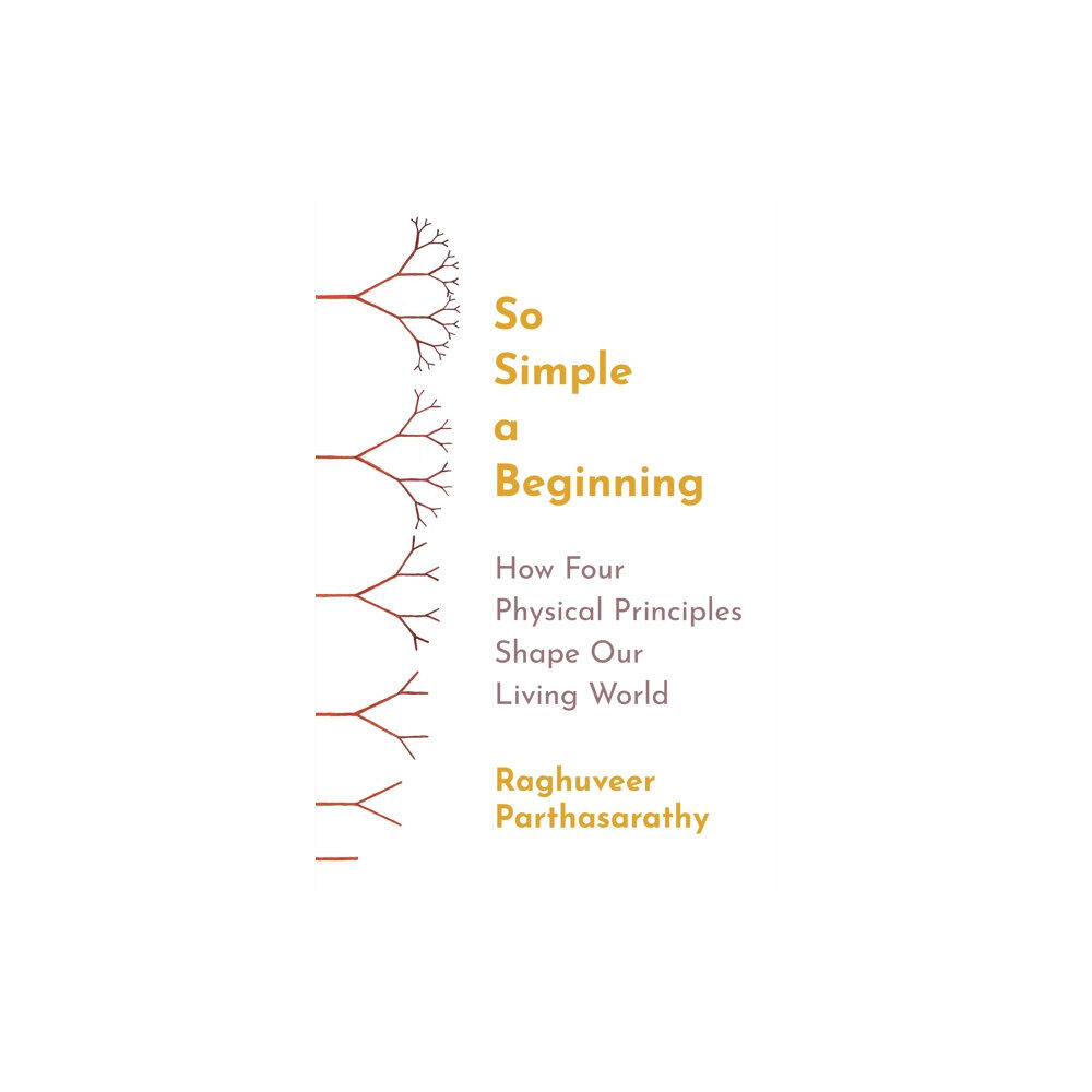 Princeton University Press So Simple a Beginning (häftad, eng)