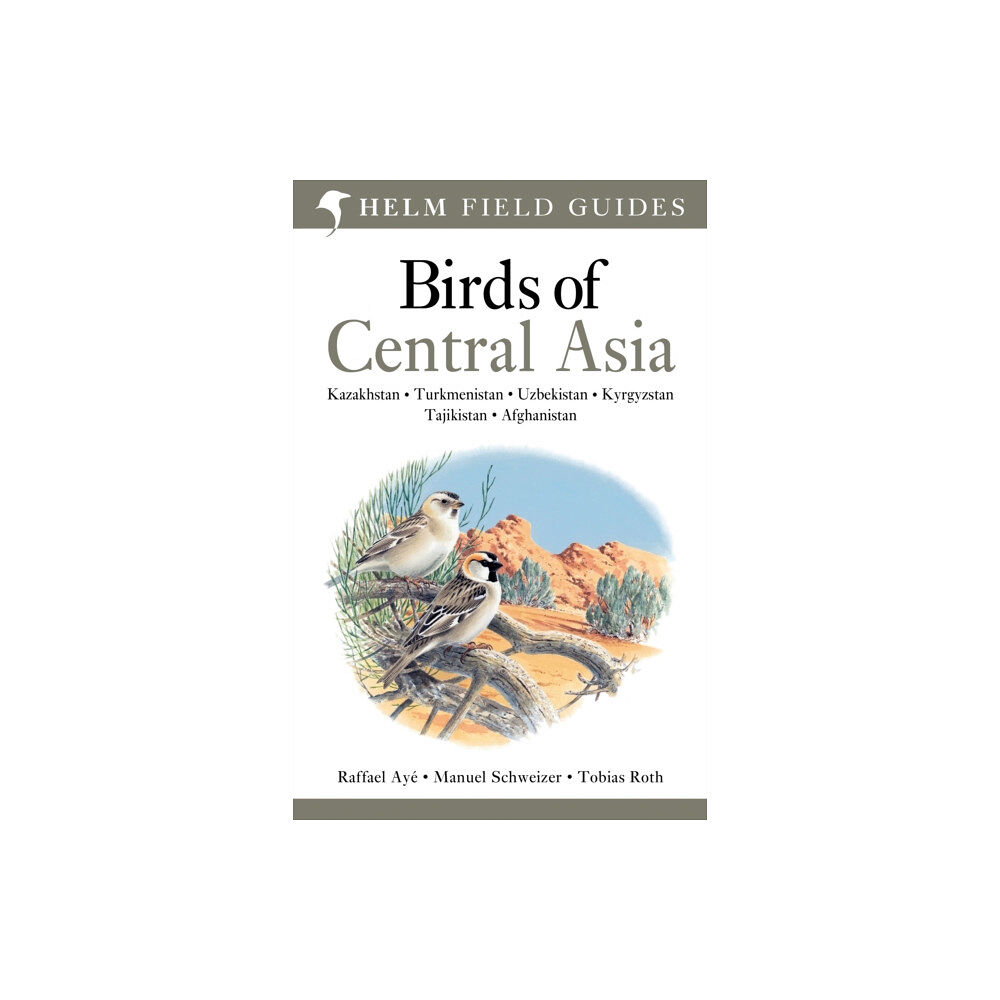 Bloomsbury Publishing PLC Field Guide to Birds of Central Asia (häftad, eng)