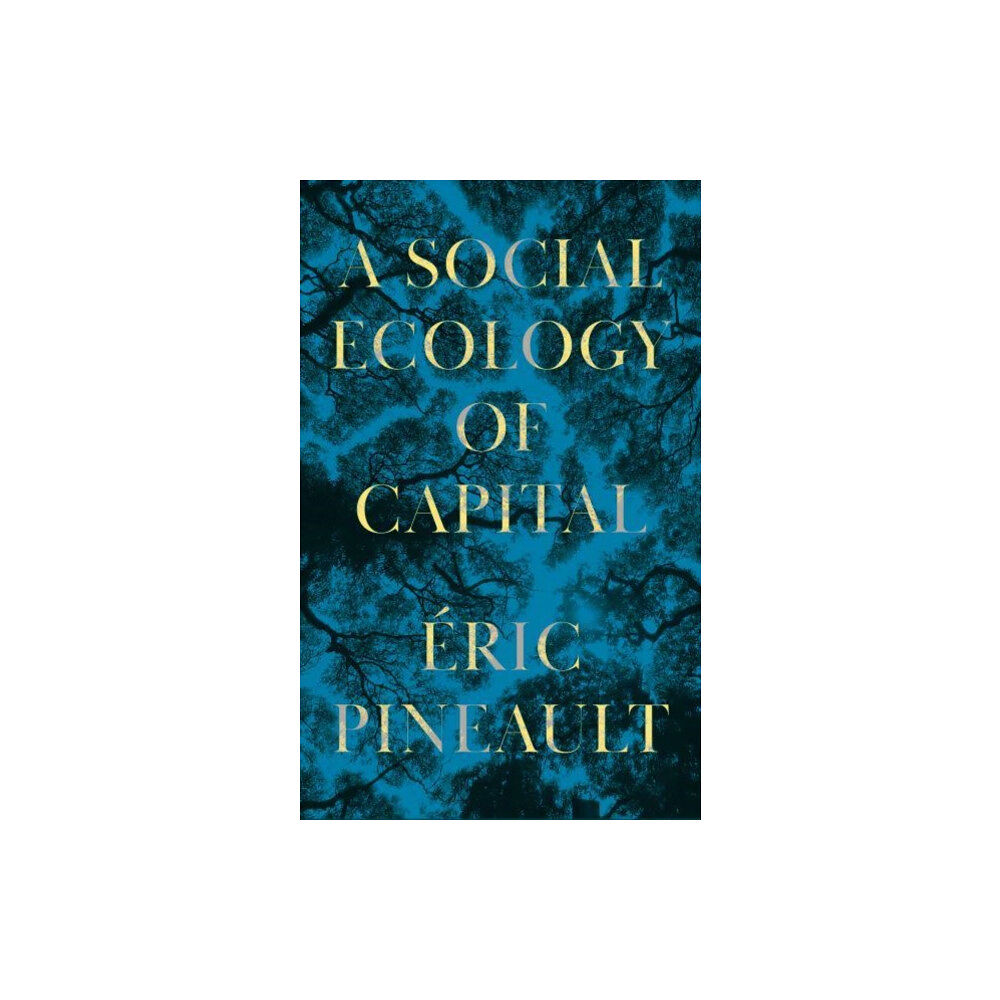 Pluto Press A Social Ecology of Capital (häftad, eng)