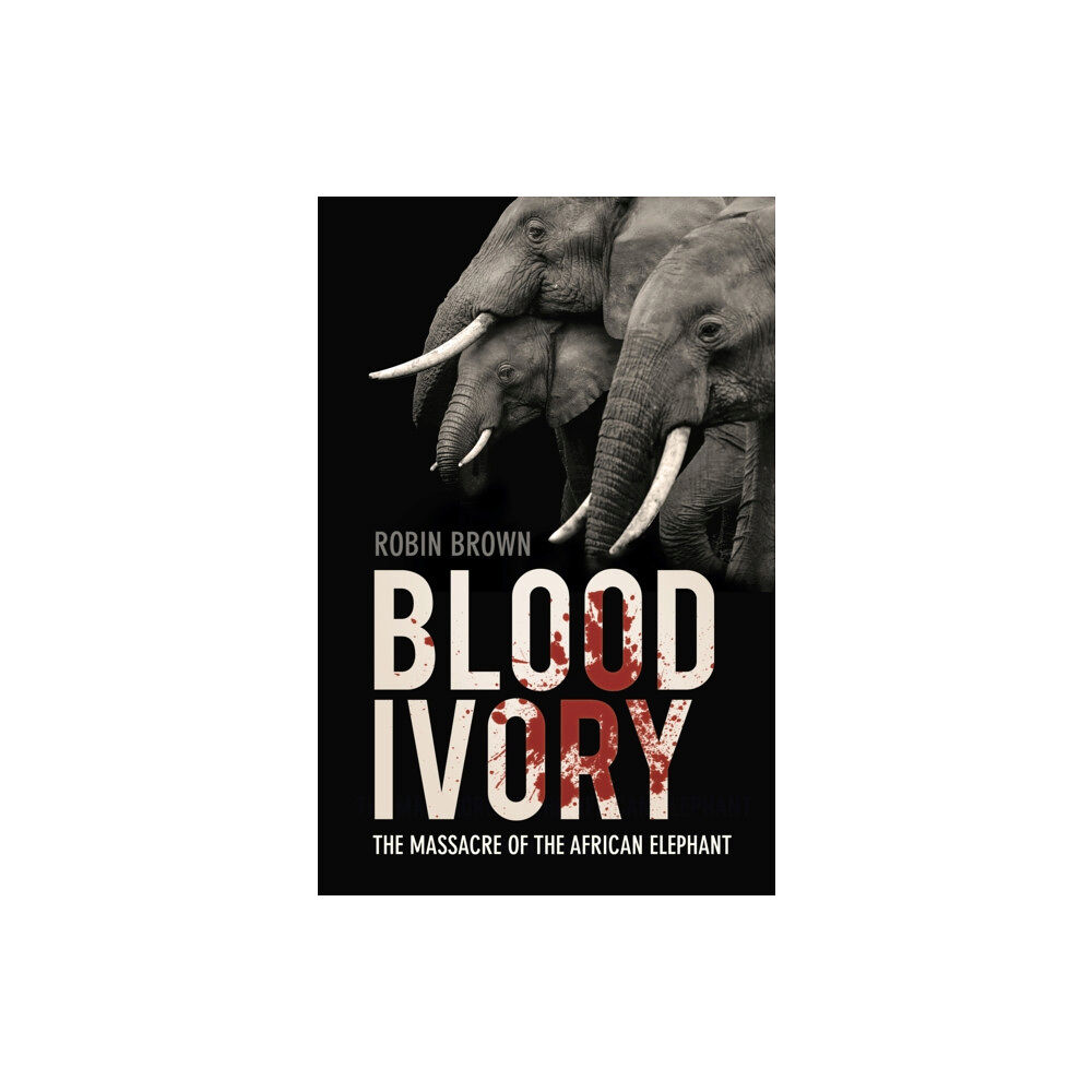 The History Press Ltd Blood Ivory (häftad, eng)