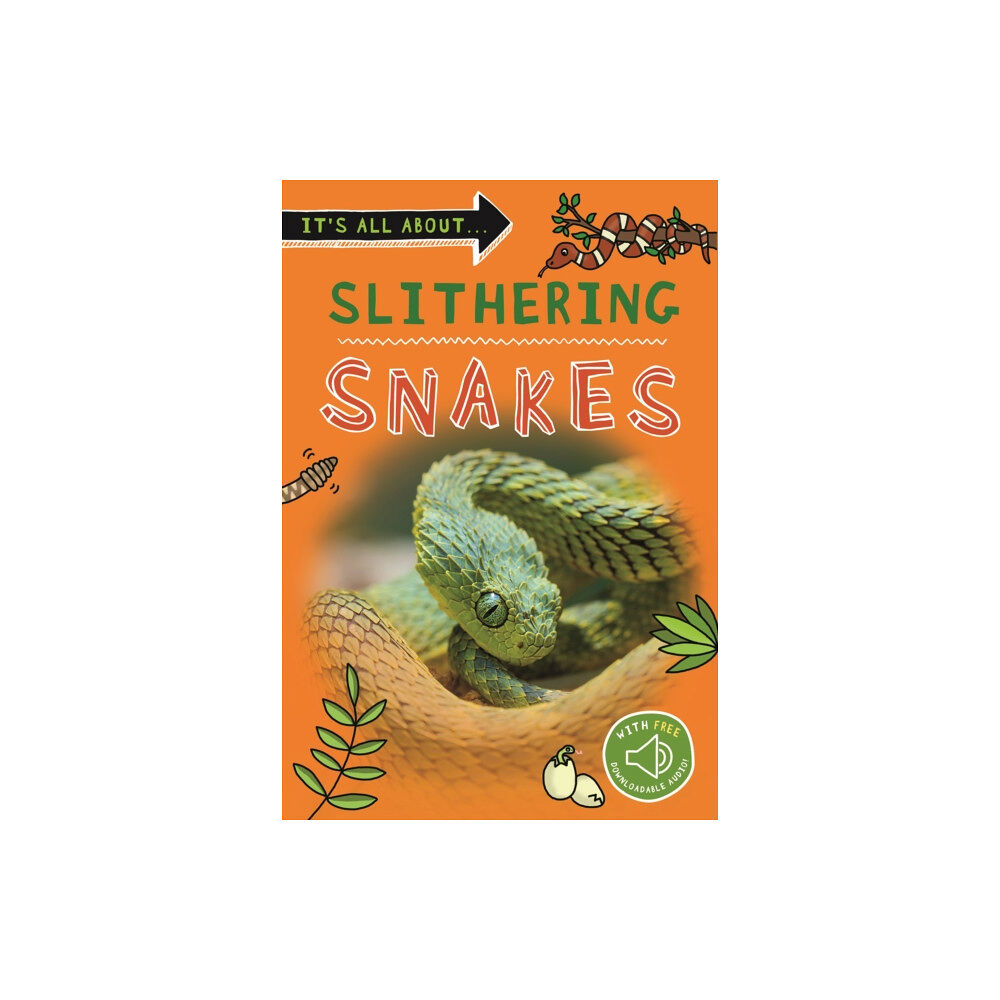 Pan Macmillan It's All About... Slithering Snakes (häftad, eng)