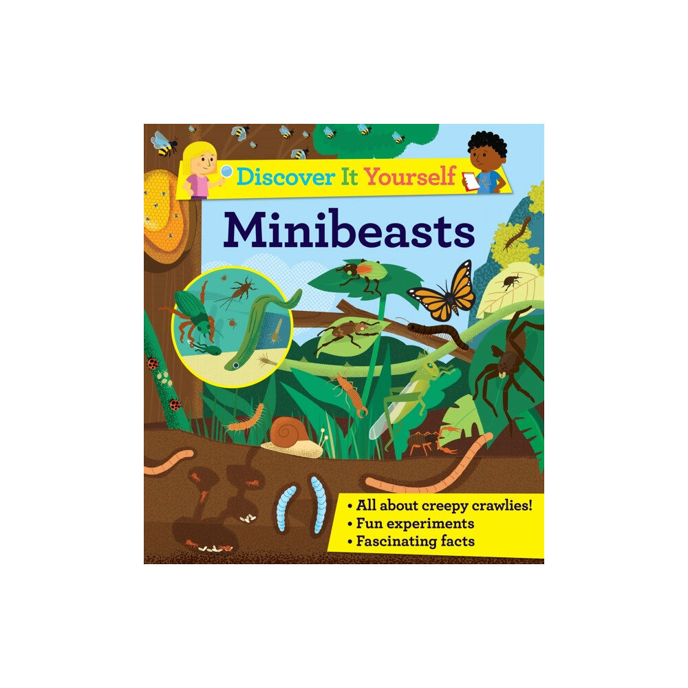 Pan Macmillan Discover It Yourself: Minibeasts (häftad, eng)