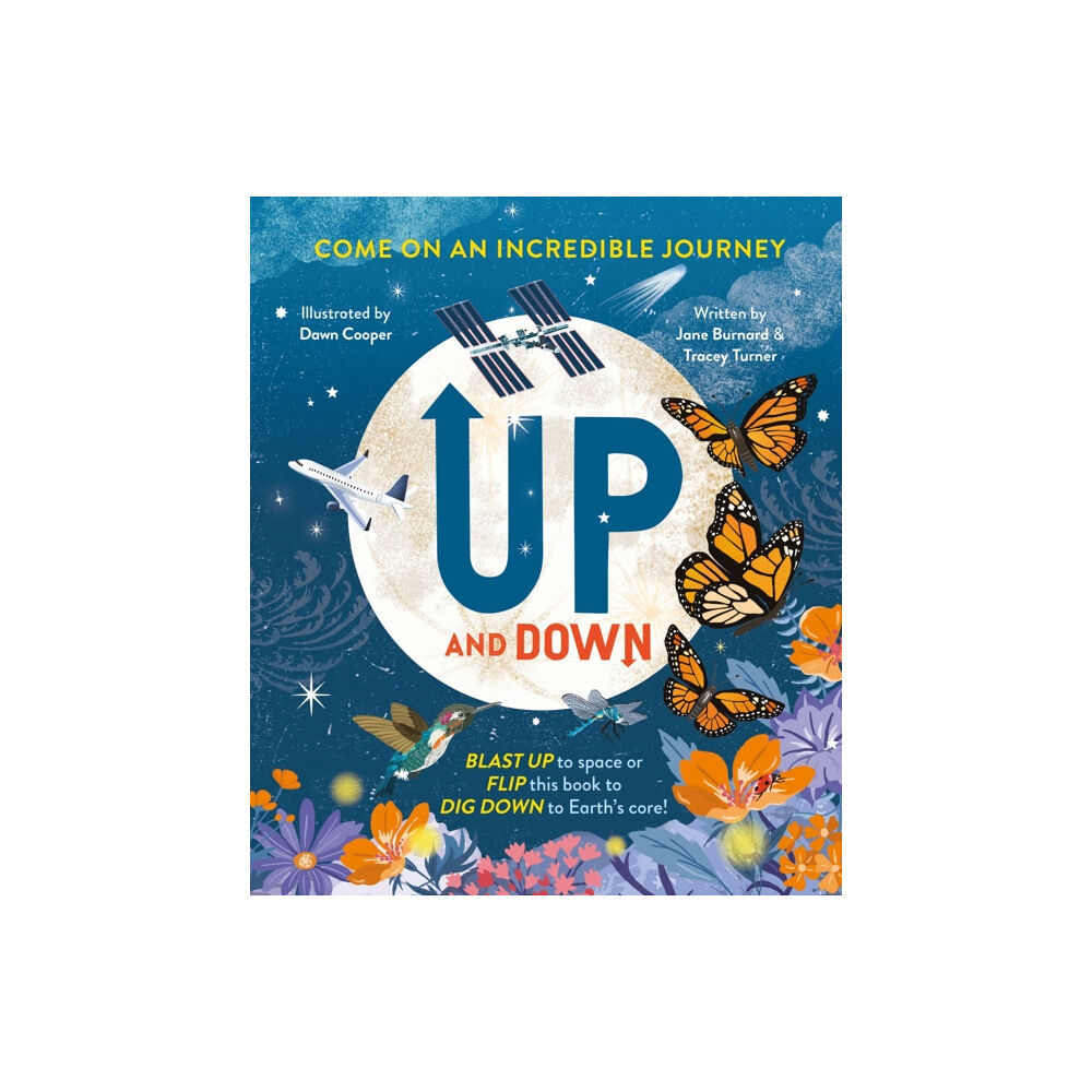 Pan Macmillan Up and Down (inbunden, eng)