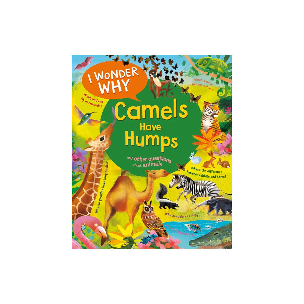 Pan Macmillan I Wonder Why Camels Have Humps (häftad, eng)