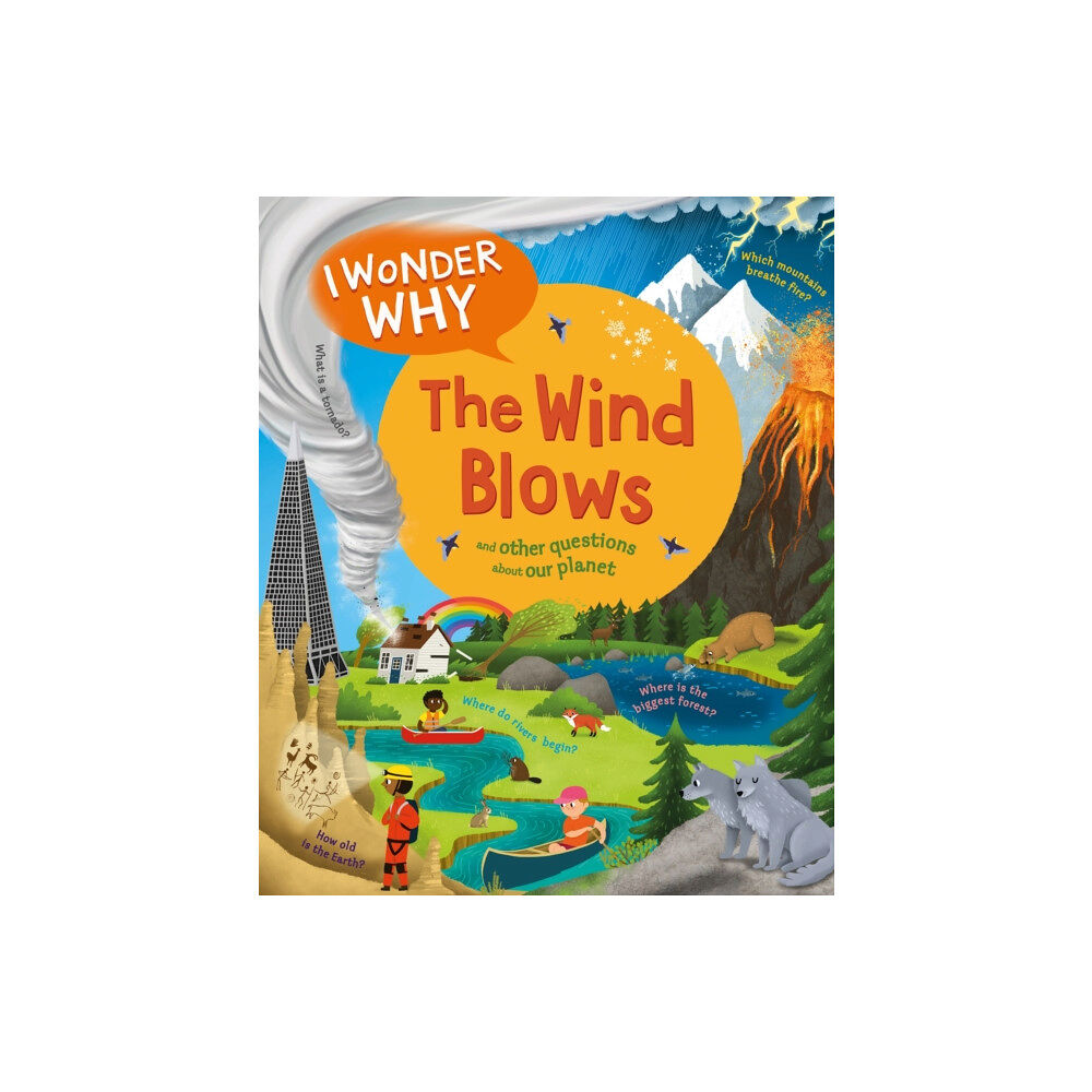 Pan Macmillan I Wonder Why The Wind Blows (häftad, eng)