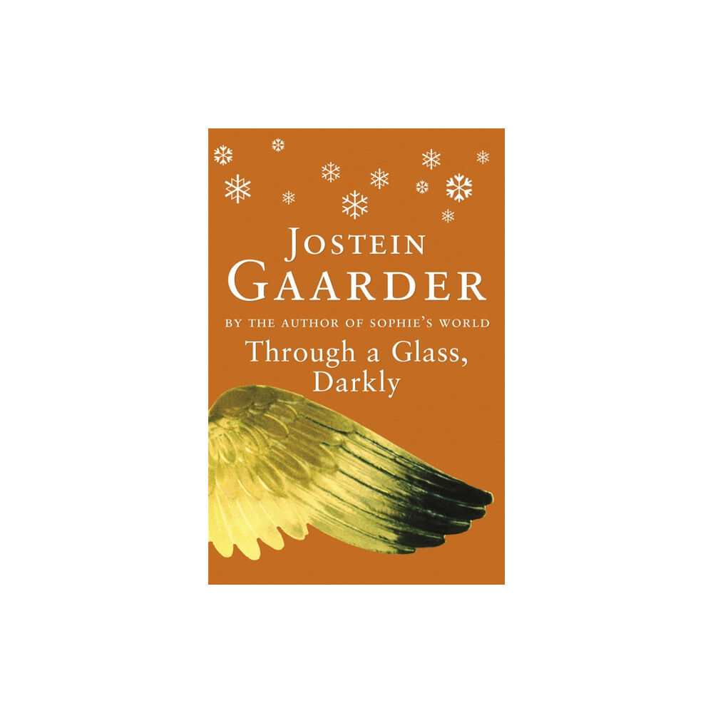 Orion Publishing Co Through A Glass, Darkly (häftad, eng)