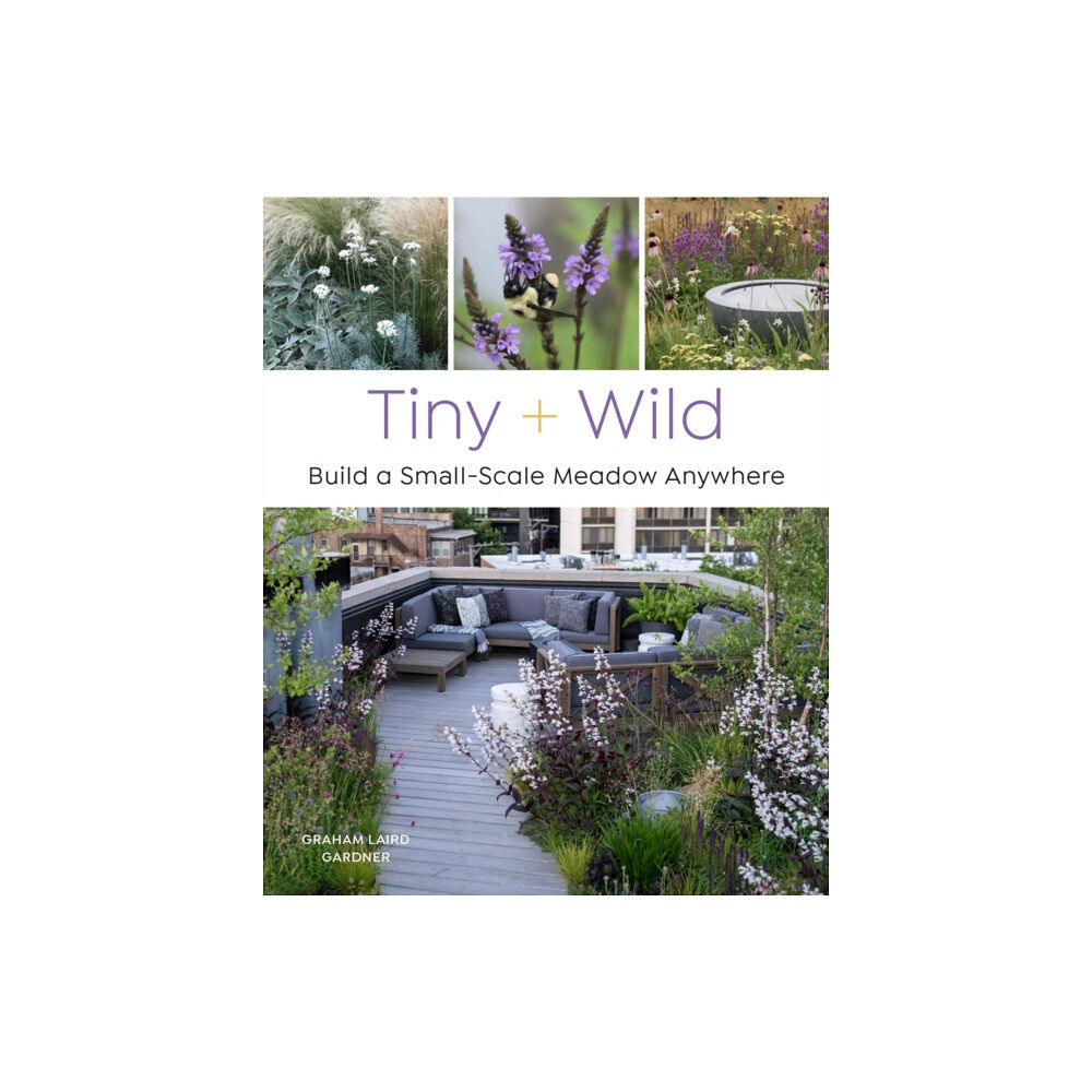 Quarto Publishing Group USA Inc Tiny and Wild (häftad, eng)