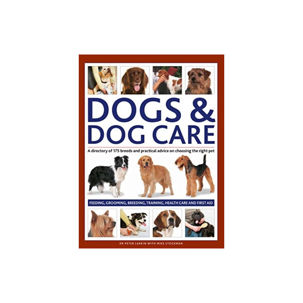 Anness publishing Dogs & Dog Care (inbunden, eng)