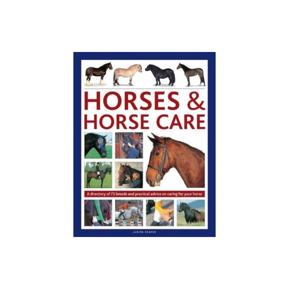 Anness publishing Horses & Horse Care (inbunden, eng)