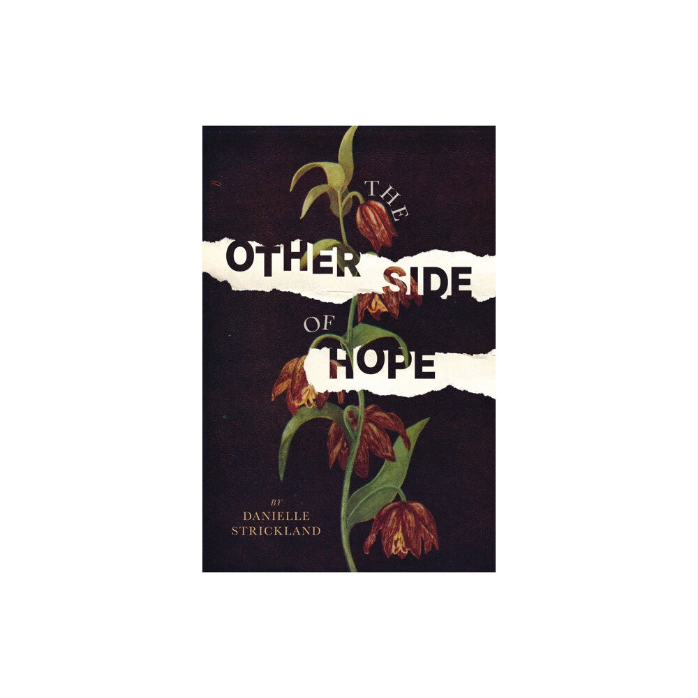 Thomas nelson publishers The Other Side of Hope (häftad, eng)