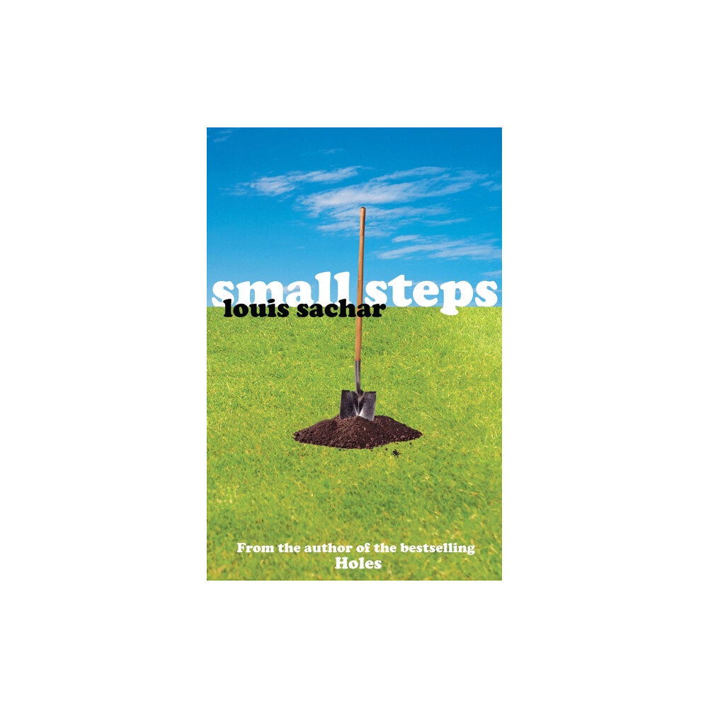Bloomsbury Publishing PLC Small Steps (häftad, eng)