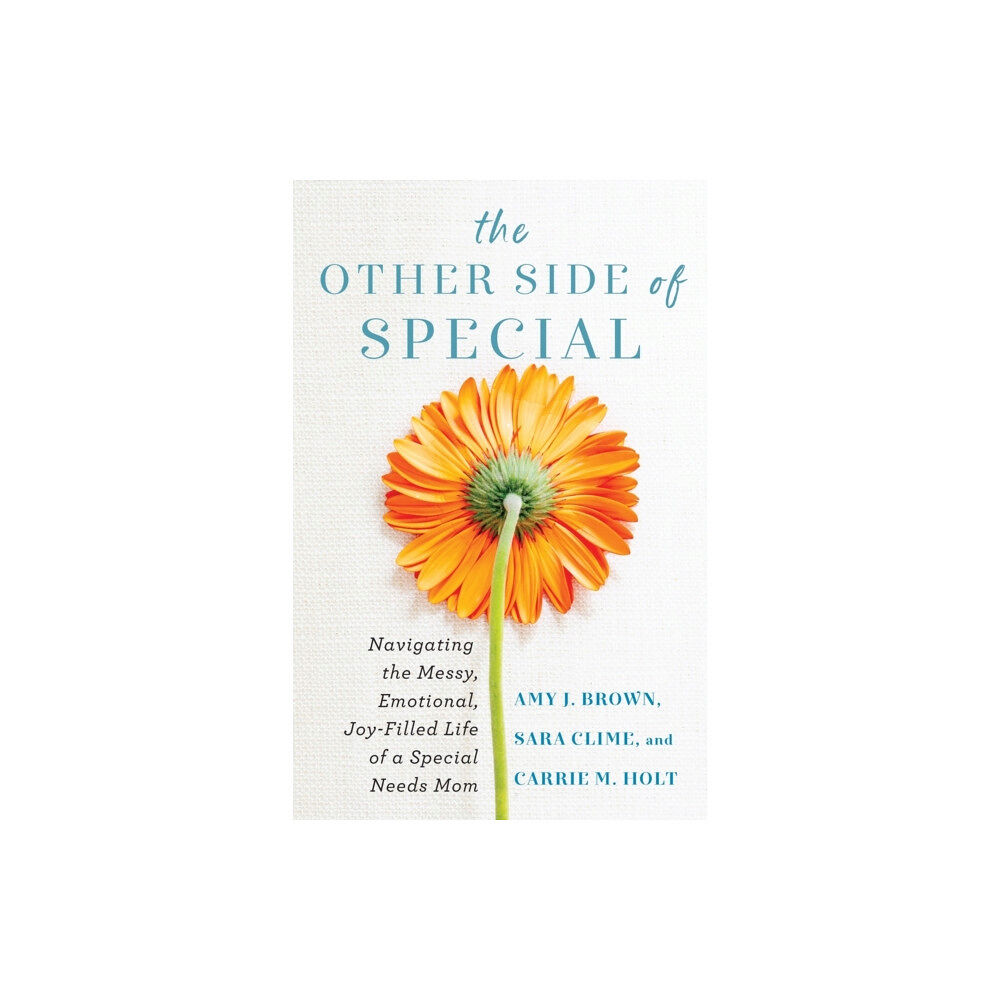 Baker publishing group The Other Side of Special – Navigating the Messy, Emotional, Joy–Filled Life of a Special Needs Mom (häftad, eng)