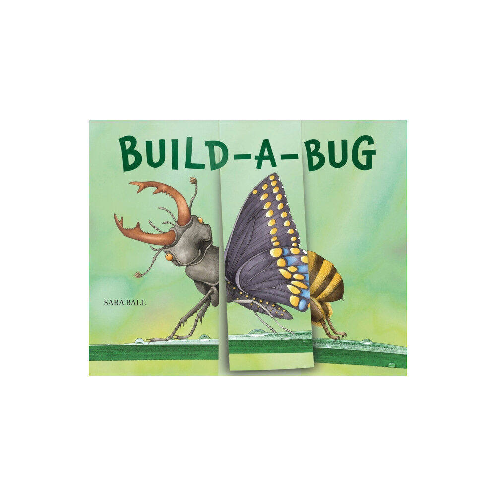 Abbeville Press Inc.,U.S. Build-a-Bug (bok, board book, eng)