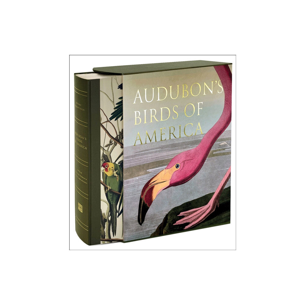 Abbeville Press Inc.,U.S. Audubon’s Birds of America (inbunden, eng)