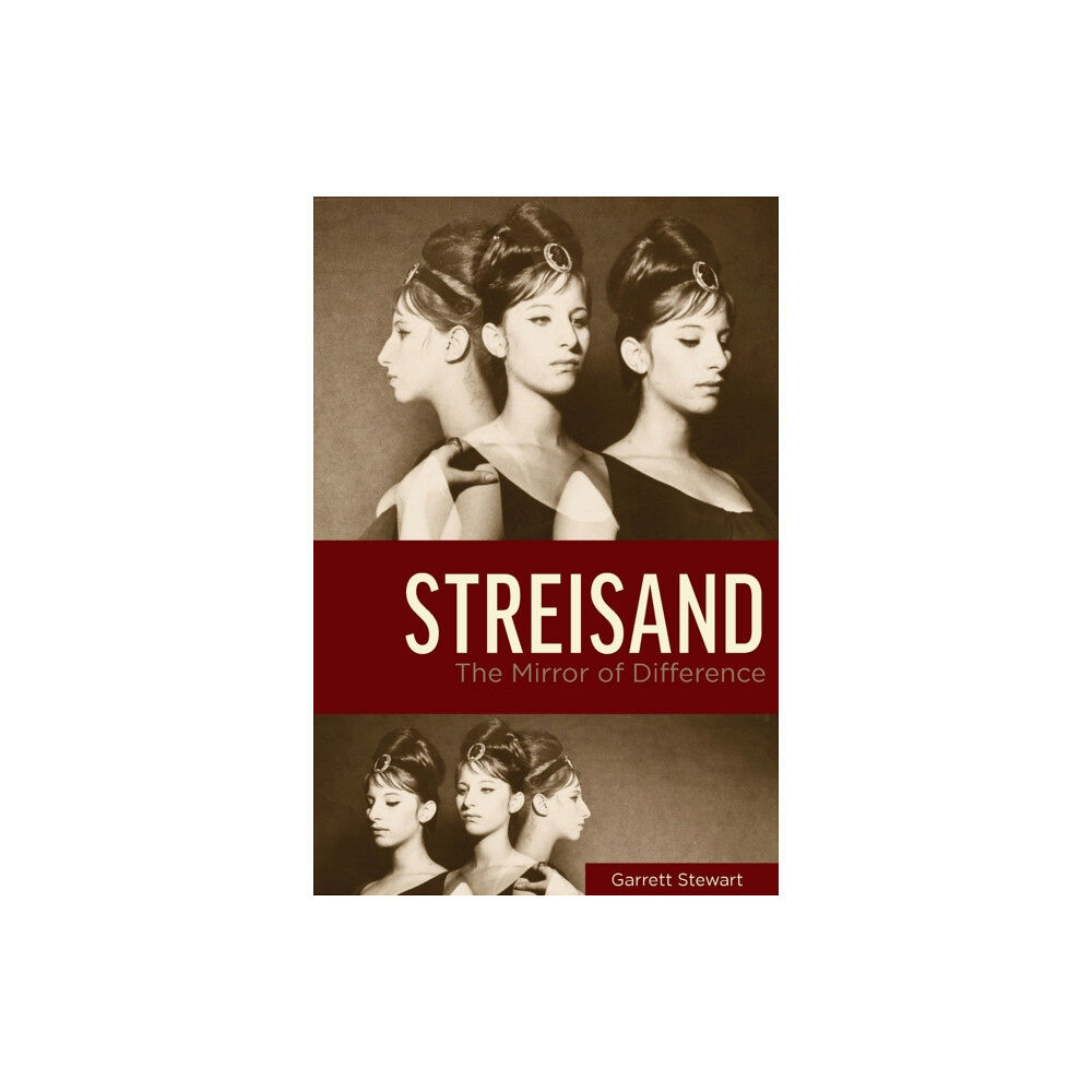 Wayne State University Press Streisand (häftad, eng)