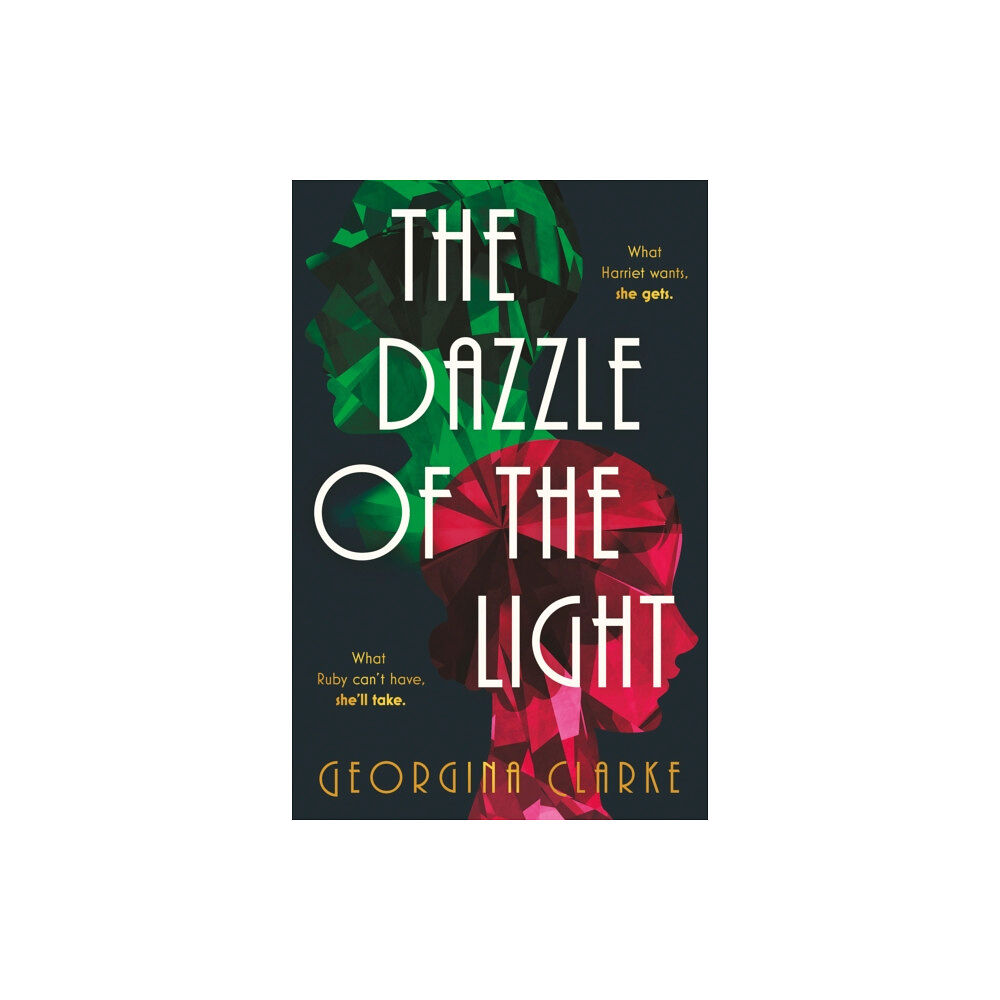 Verve Books The Dazzle of the Light (häftad, eng)