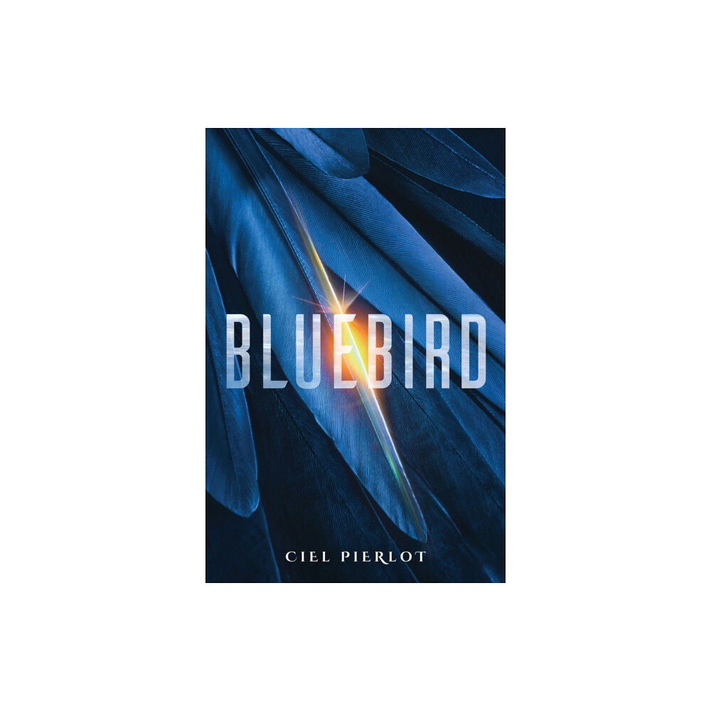 Watkins Media Limited Bluebird (häftad, eng)