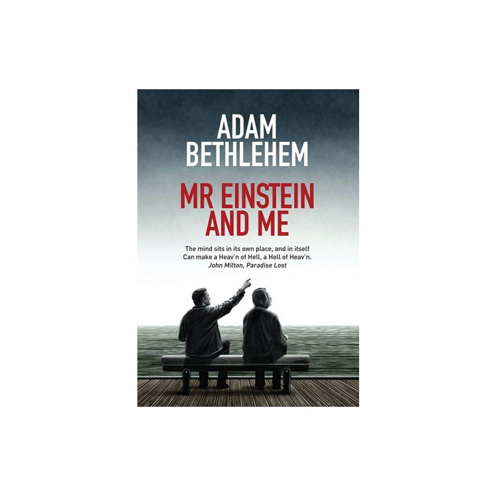 Triple Point Press Mr Einstein and Me (häftad, eng)