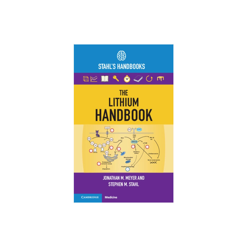 Cambridge University Press The Lithium Handbook (häftad, eng)