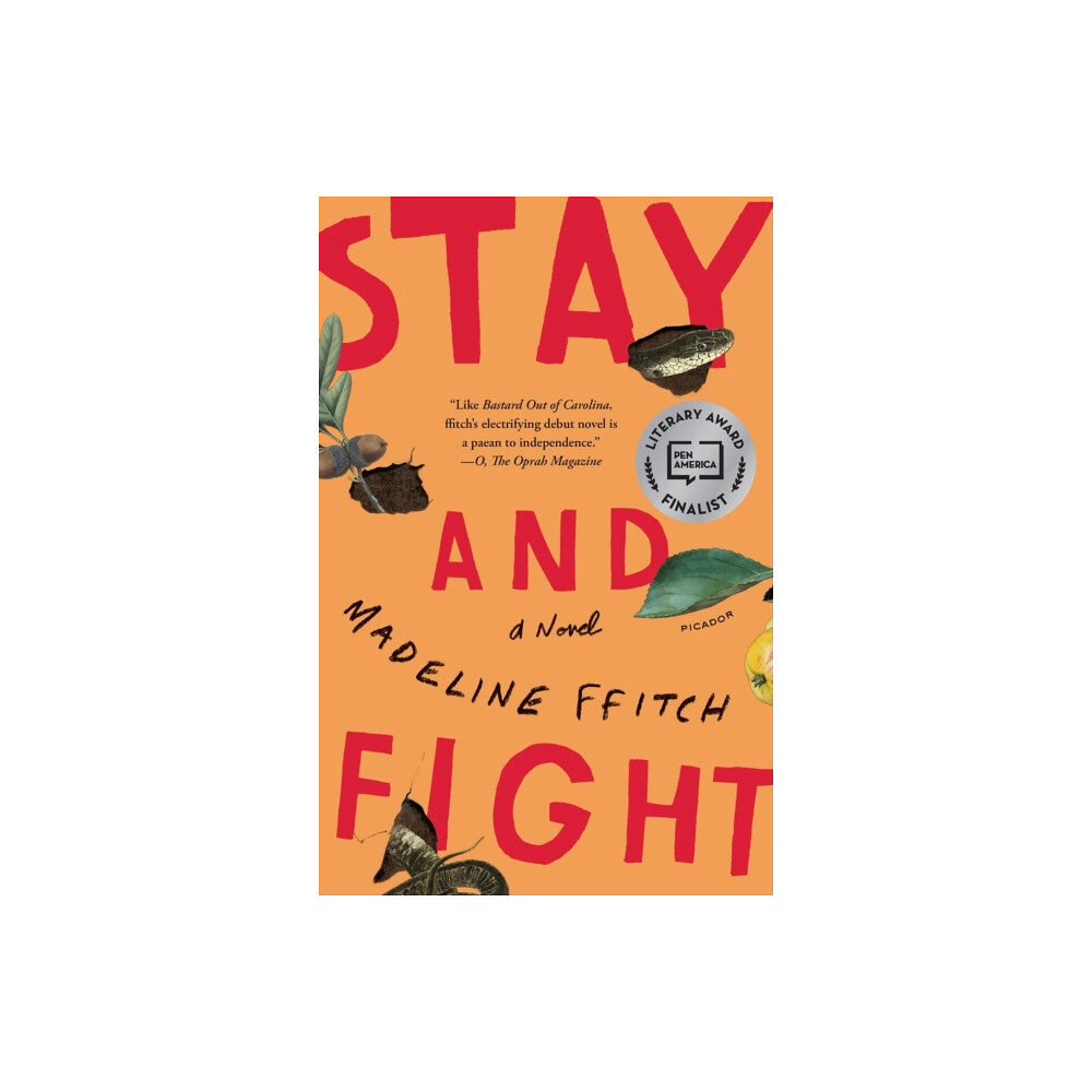 PICADOR Stay and Fight (häftad, eng)