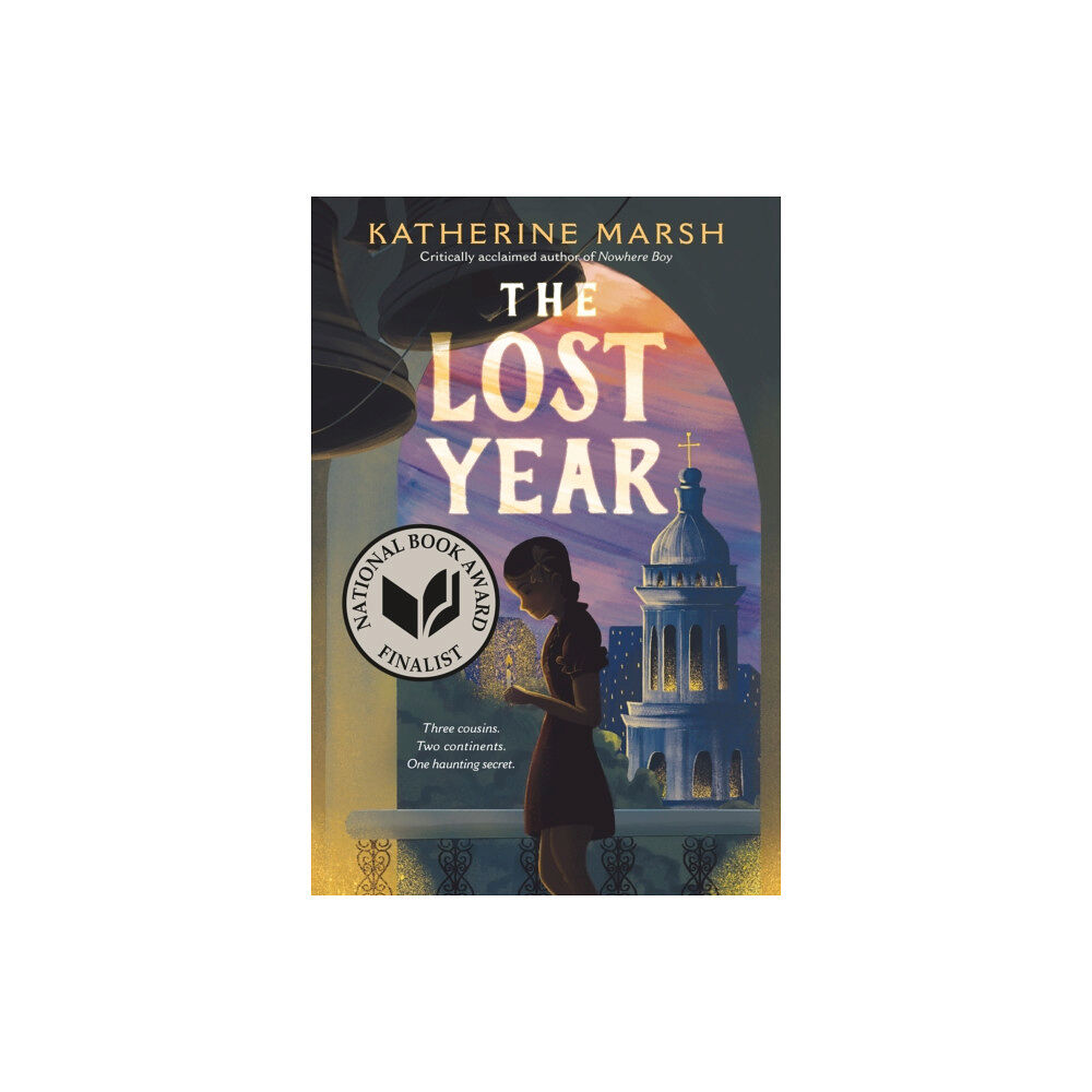 Palgrave USA The Lost Year (häftad, eng)