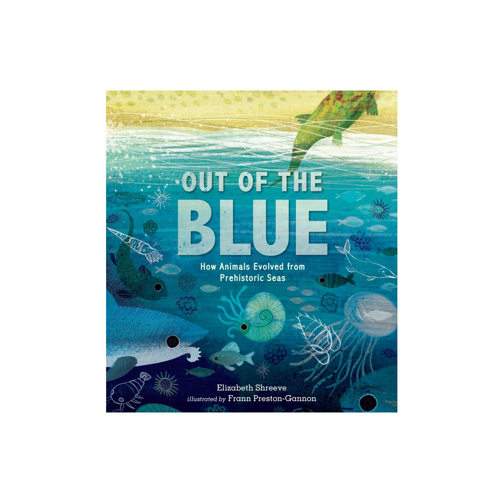 Walker Books Ltd Out of the Blue (inbunden, eng)