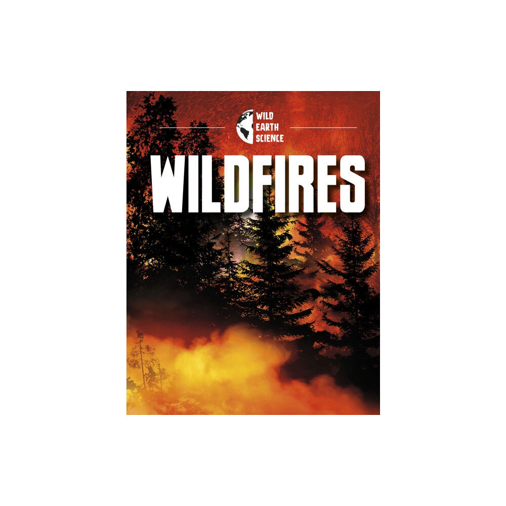 Capstone Global Library Ltd Wildfires (häftad, eng)