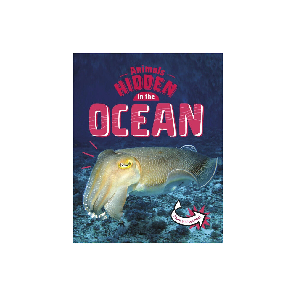 Capstone Global Library Ltd Animals Hidden in the Ocean (häftad, eng)