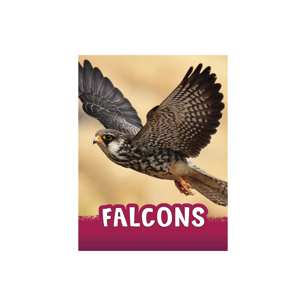 Capstone Global Library Ltd Falcons (häftad, eng)